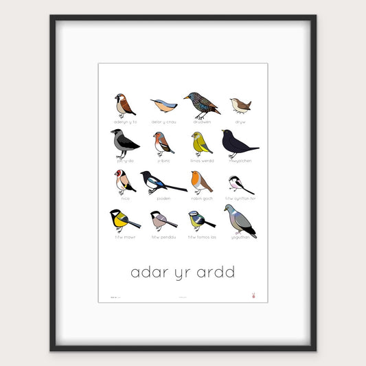 adar yr ardd - print